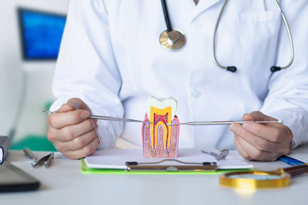 Best Emergency Dental Surgery in Sycamore, IL